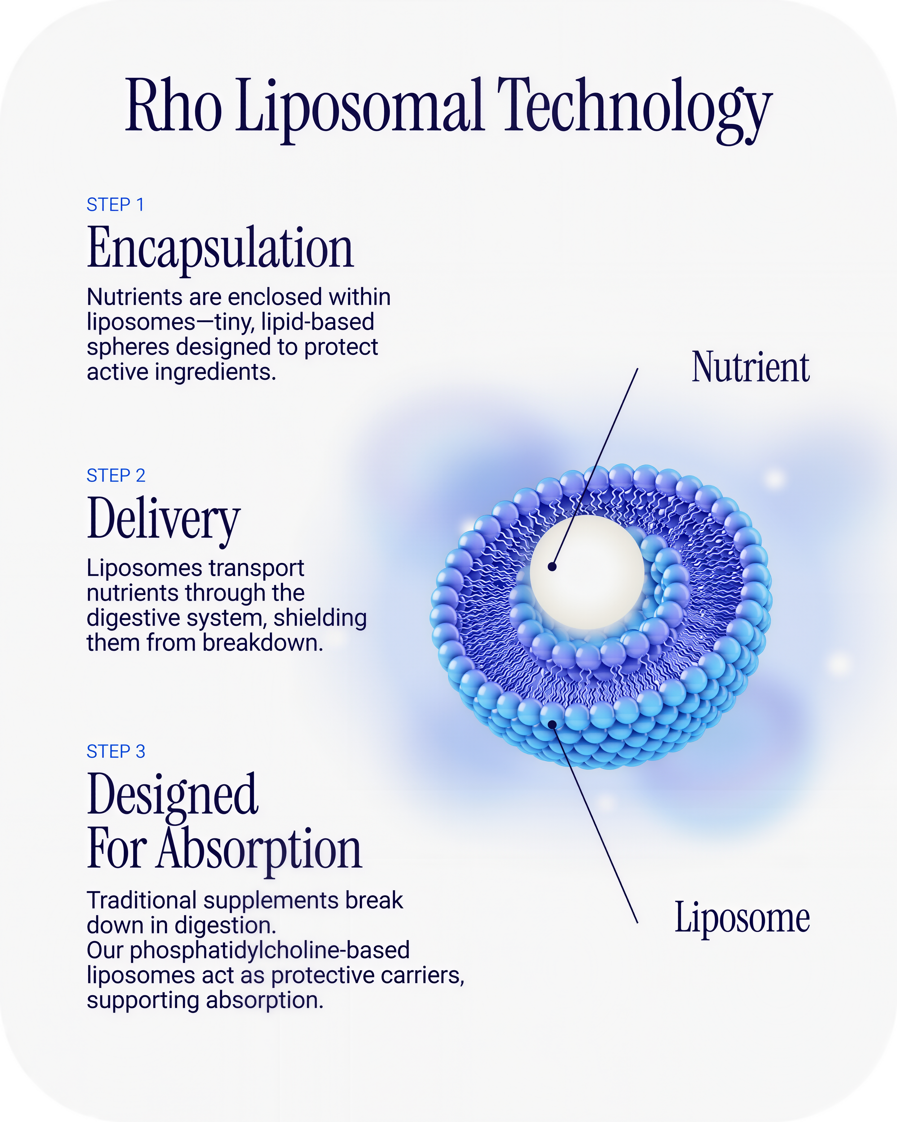 Rho Nutrition - Cellular Health Essentials Bundle